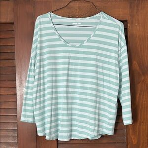 Lands' End Top (NWOT)